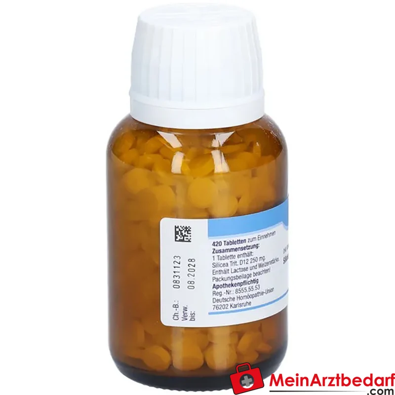 DHU Schüßler-Salz Nr. 11 Silicea D12 Acidum silicicum 250 mg Tabletten