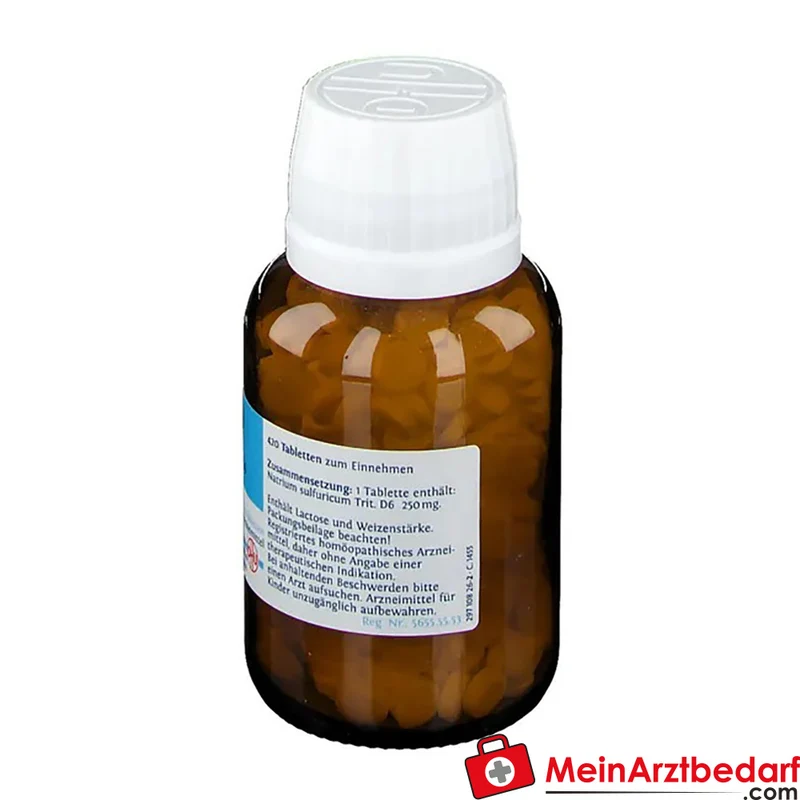 DHU Schüßler‑Salz Nr. 10 Natrium sulfuricum D6 Tabletten 80 St.