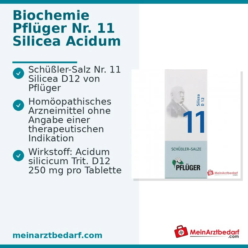 Biochemie Pflüger Nr. 11 Silicea Acidum silicicum D12 Tabletten, 100 St.