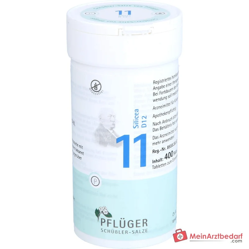 Biochemie Pflüger Nr. 11 Silicea Acidum silicicum D12 Tabletten, 100 St.