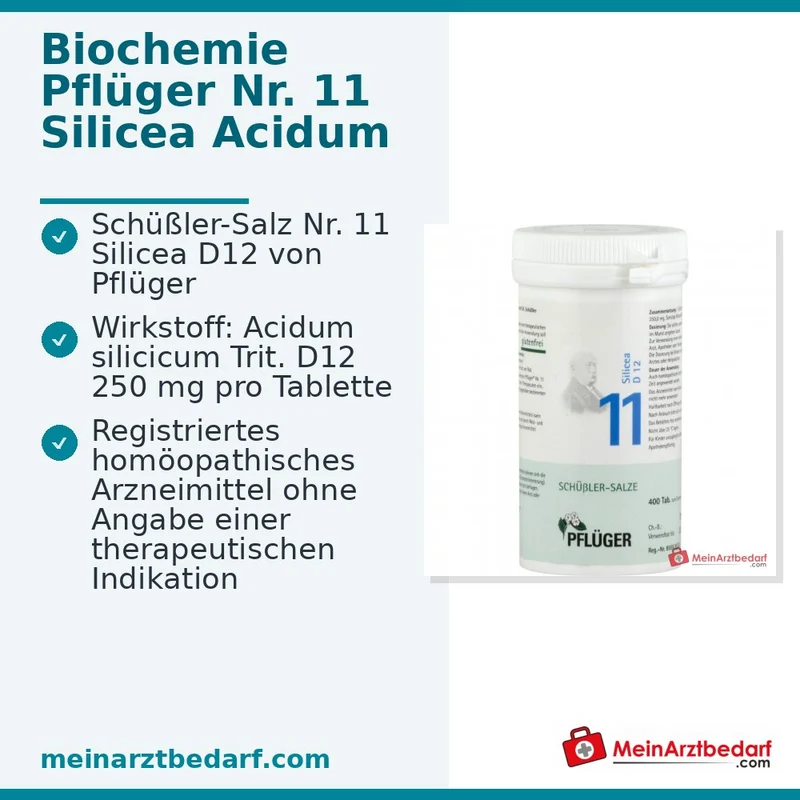 Biochemie Pflüger Nr. 11 Silicea Acidum silicicum D12 Tabletten, 100 St.