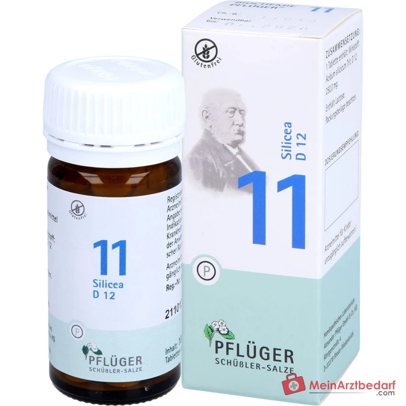 Biochemie Pflüger Nr. 11 Silicea Acidum silicicum D12 Tabletten, 100 St.