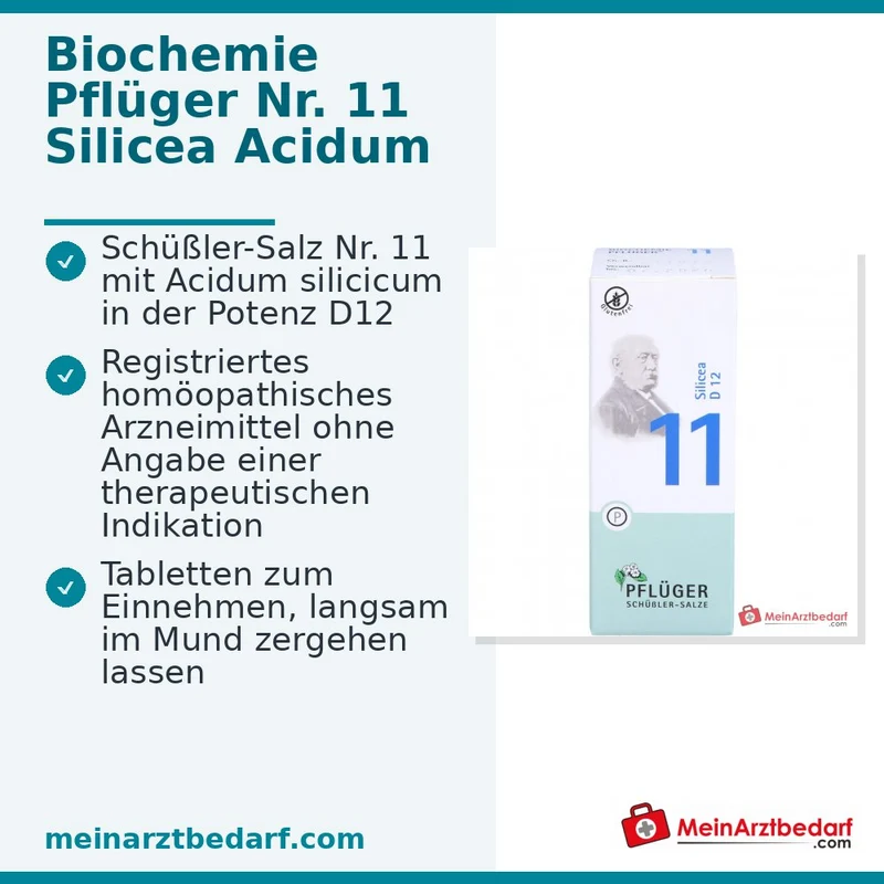 Biochemie Pflüger Nr. 11 Silicea Acidum silicicum D12 Tabletten, 100 St.