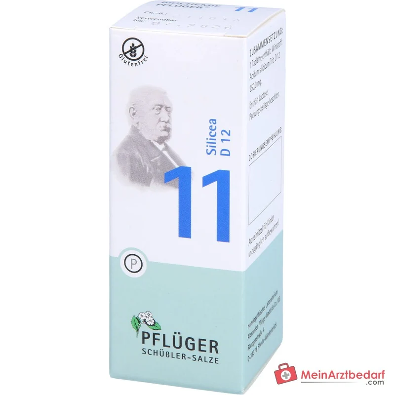 Biochemie Pflüger Nr. 11 Silicea Acidum silicicum D12 Tabletten, 100 St.