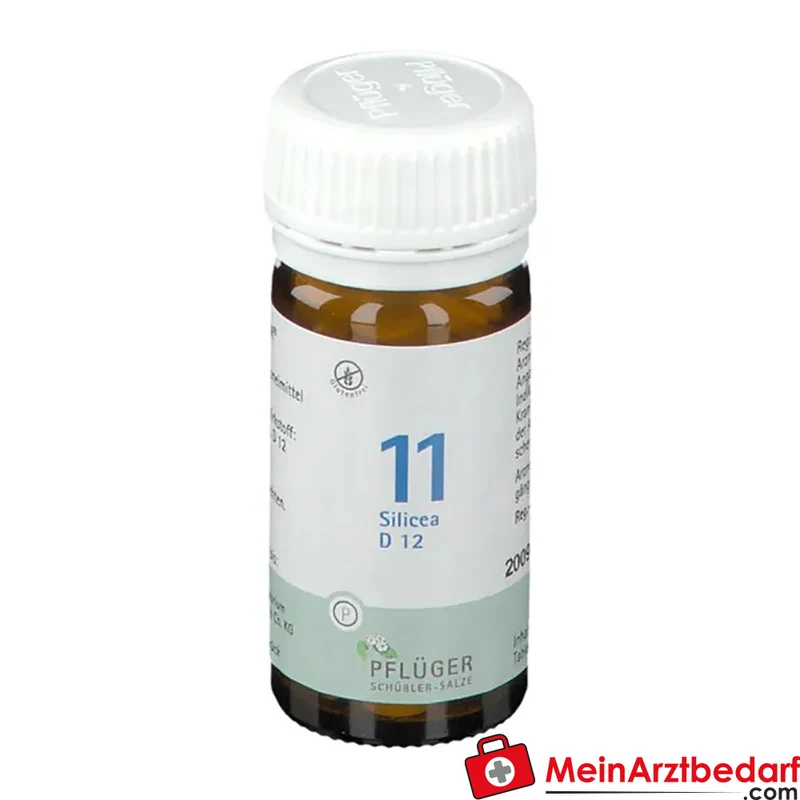 Biochemie Pflüger Nr. 11 Silicea Acidum silicicum D12 Tabletten, 100 St.