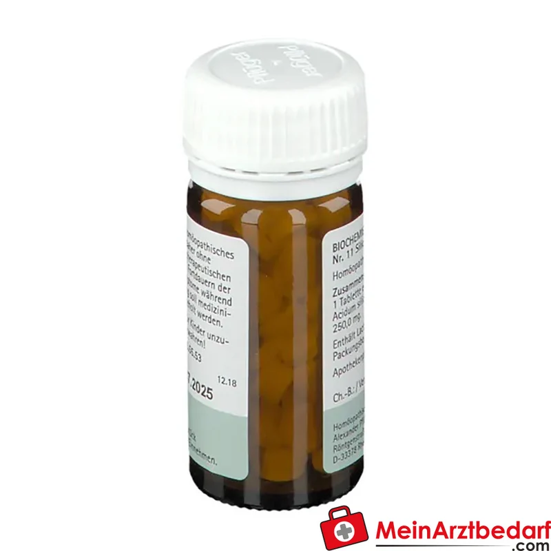 Biochemie Pflüger Nr. 11 Silicea Acidum silicicum D12 Tabletten, 100 St.