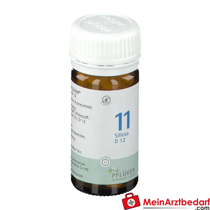 Biochemie Pflüger Nr. 11 Silicea Acidum silicicum D12 Tabletten, 100 St.