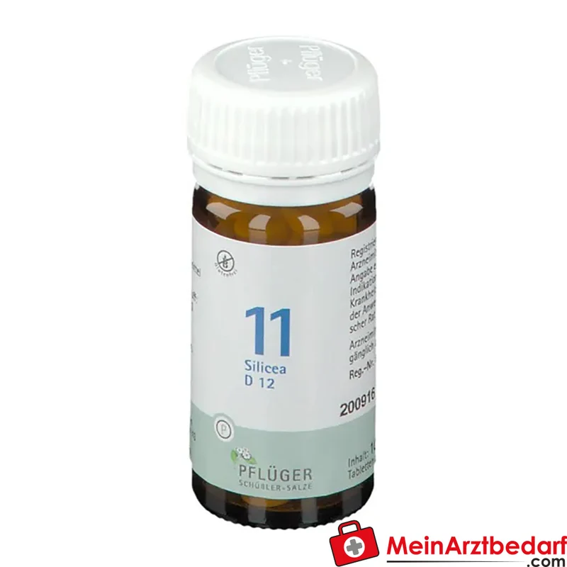 Biochemie Pflüger Nr. 11 Silicea Acidum silicicum D12 Tabletten, 100 St.