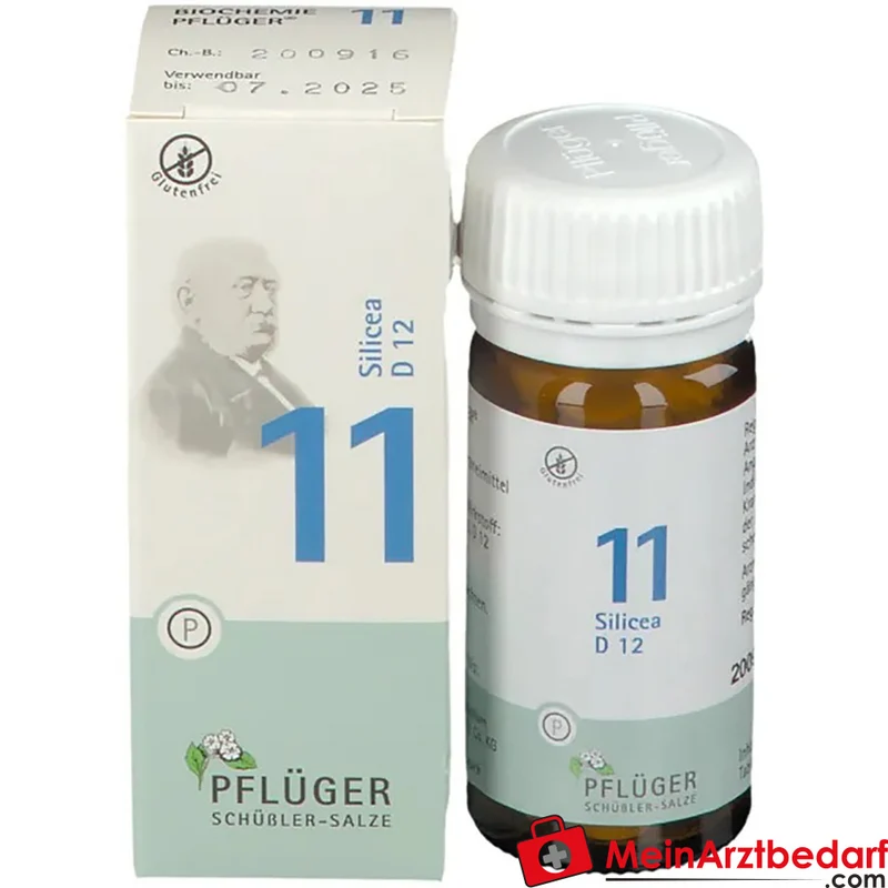 Biochemie Pflüger Nr. 11 Silicea Acidum silicicum D12 Tabletten, 100 St.
