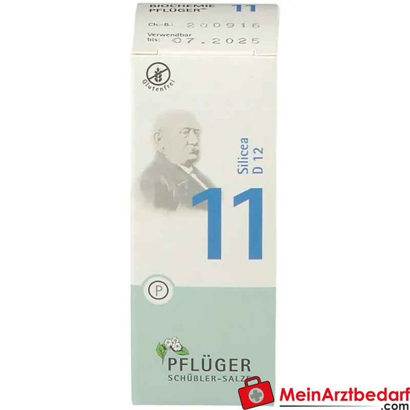 Biochemie Pflüger Nr. 11 Silicea Acidum silicicum D12 Tabletten, 100 St.