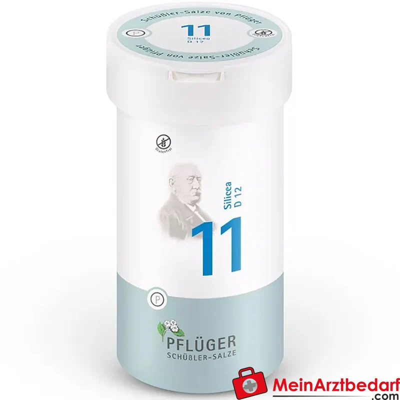 Biochemie Pflüger Nr. 11 Silicea Acidum silicicum D12 Tabletten, 100 St.