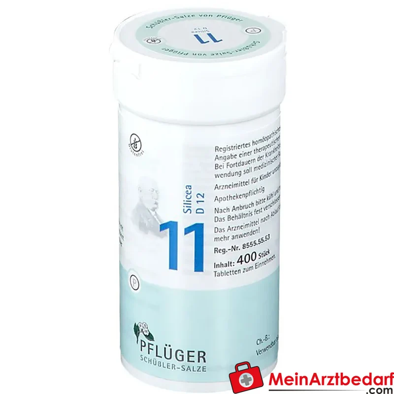 Biochemie Pflüger Nr. 11 Silicea Acidum silicicum D12 Tabletten, 100 St.