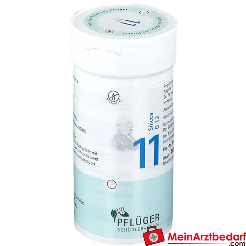 Biochemie Pflüger Nr. 11 Silicea Acidum silicicum D12 Tabletten, 100 St.