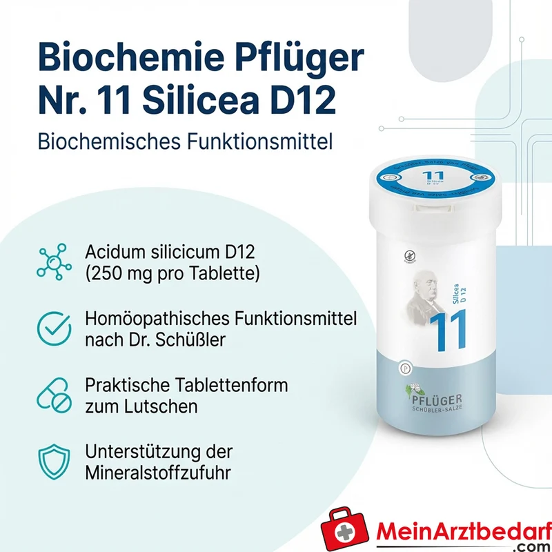 Biochemie Pflüger Nr. 11 Silicea Acidum silicicum D12 Tabletten, 100 St.