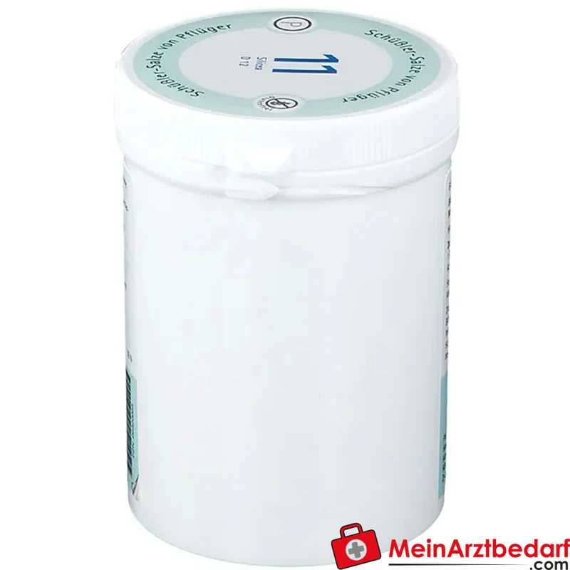 Biochemie Pflüger Nr. 11 Silicea Acidum silicicum D12 Tabletten, 100 St.
