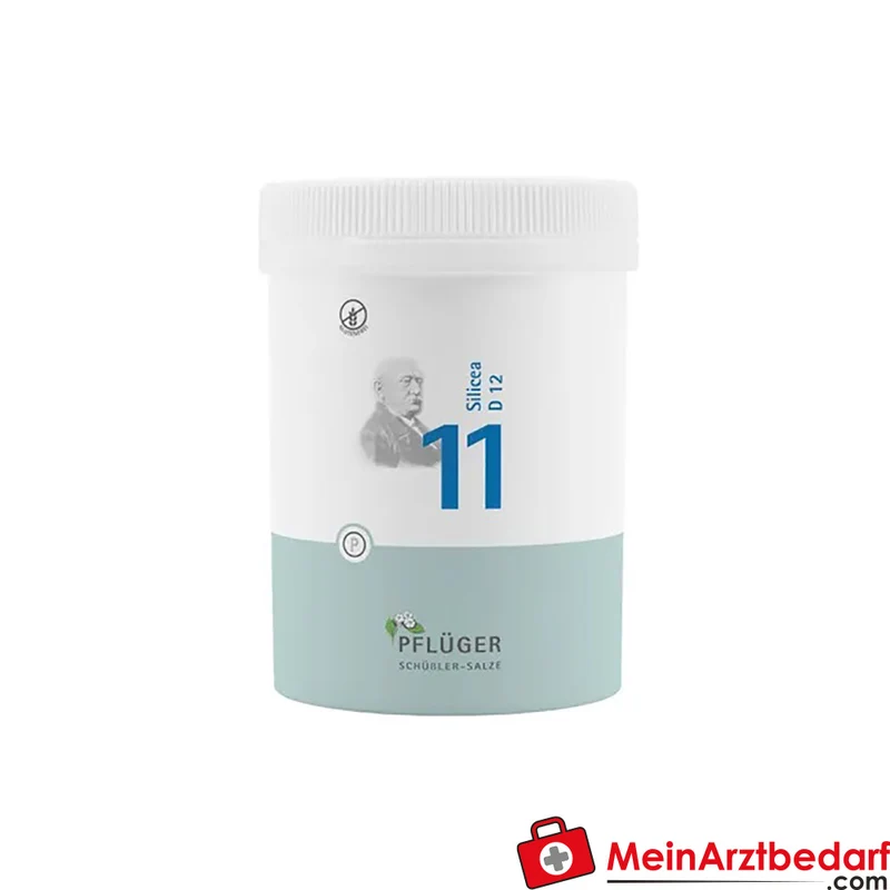 Biochemie Pflüger Nr. 11 Silicea Acidum silicicum D12 Tabletten, 100 St.