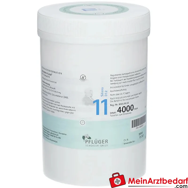 Biochemie Pflüger Nr. 11 Silicea Acidum silicicum D12 Tabletten, 100 St.