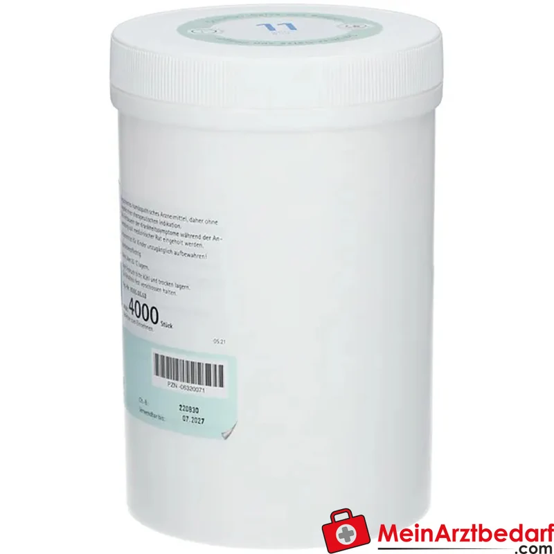 Biochemie Pflüger Nr. 11 Silicea Acidum silicicum D12 Tabletten, 100 St.
