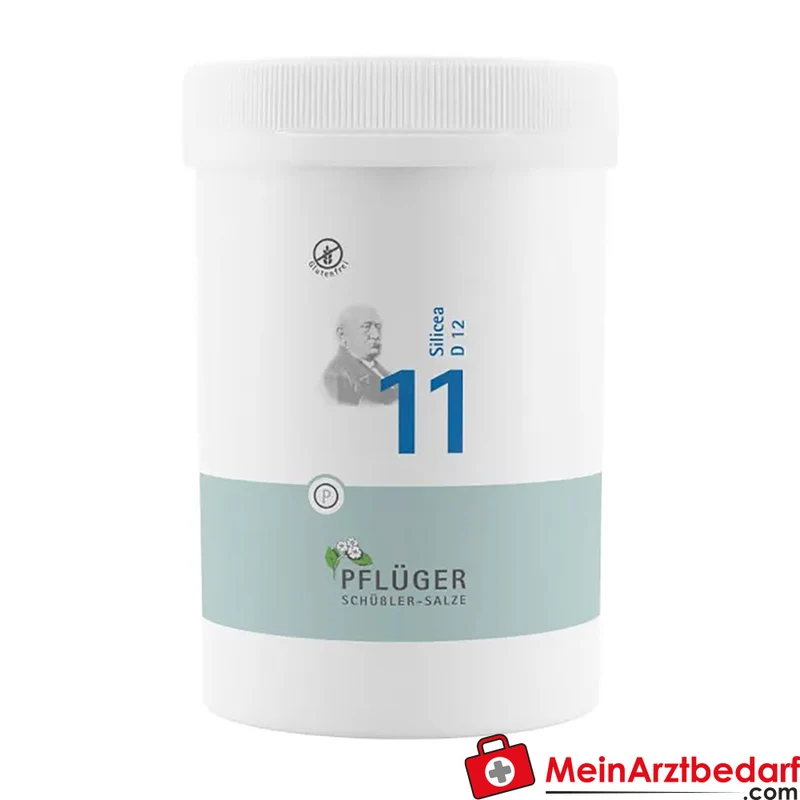 Biochemie Pflüger Nr. 11 Silicea Acidum silicicum D12 Tabletten, 100 St.