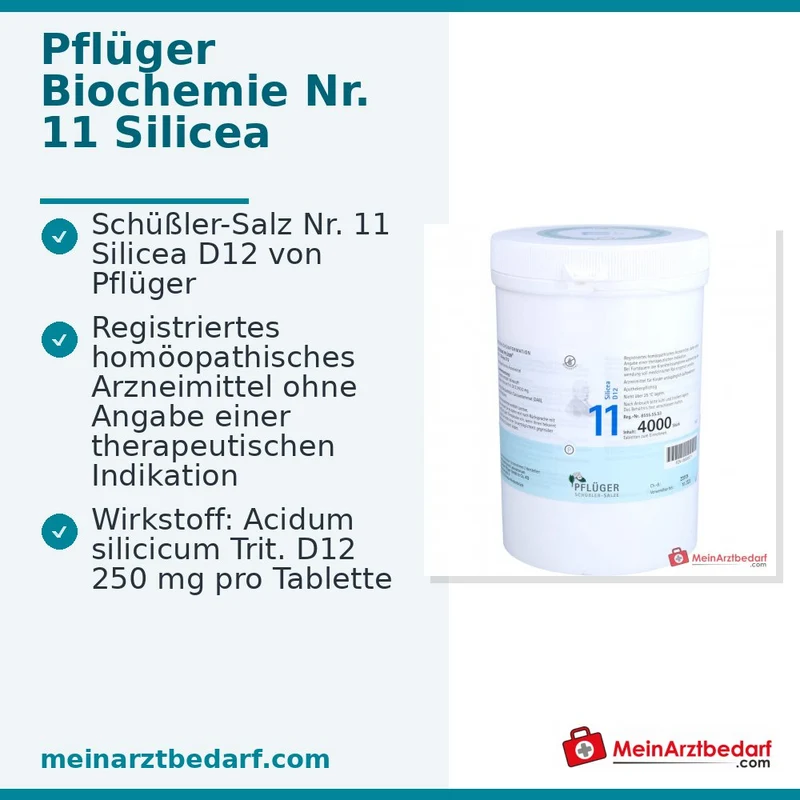Biochemie Pflüger Nr. 11 Silicea Acidum silicicum D12 Tabletten, 100 St.