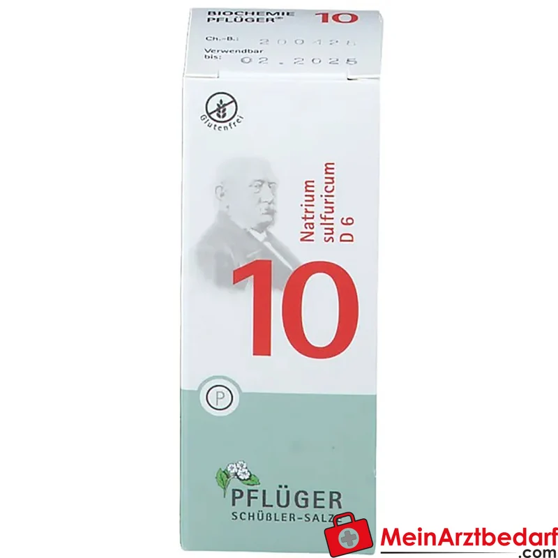 Biochemie Pflüger Nr. 10 Natrium sulfuricum D6 Tabletten Acidum silicicum D12 250 mg