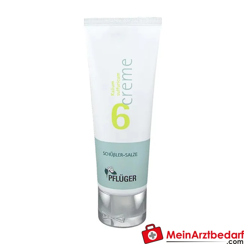 Biochemie Pflüger Nr. 6 Kalium sulfuricum D4 Creme 10 mg 1 Tube