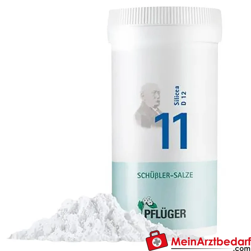Biochemie Pflüger® Nr. 11 Silicea D12 Pulver 1000 mg