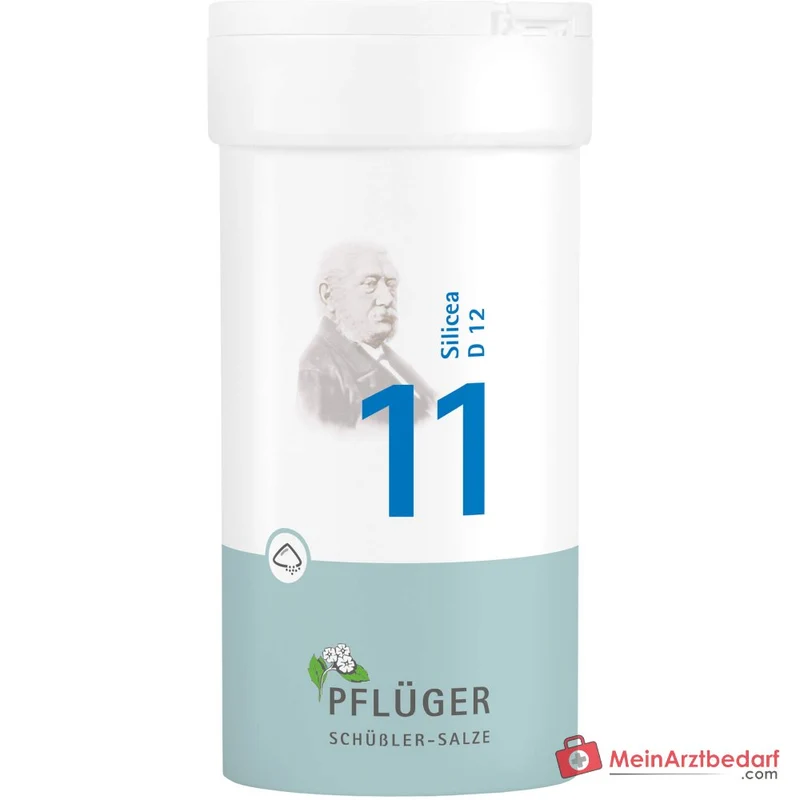 Biochemie Pflüger® Nr. 11 Silicea D12 Pulver 1000 mg