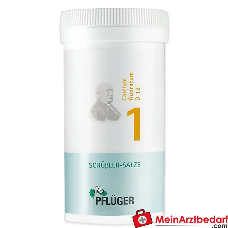 Pflüger Biochemie Nr.1 Calcium fluoratum D12 Pulver 1000 mg (1 g)