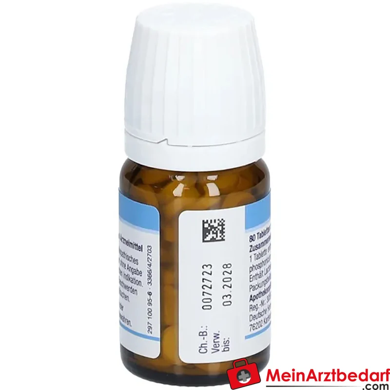 DHU Schüßler-Salz Nr. 2 Calcium phosphoricum D12 Tabletten 250 mg
