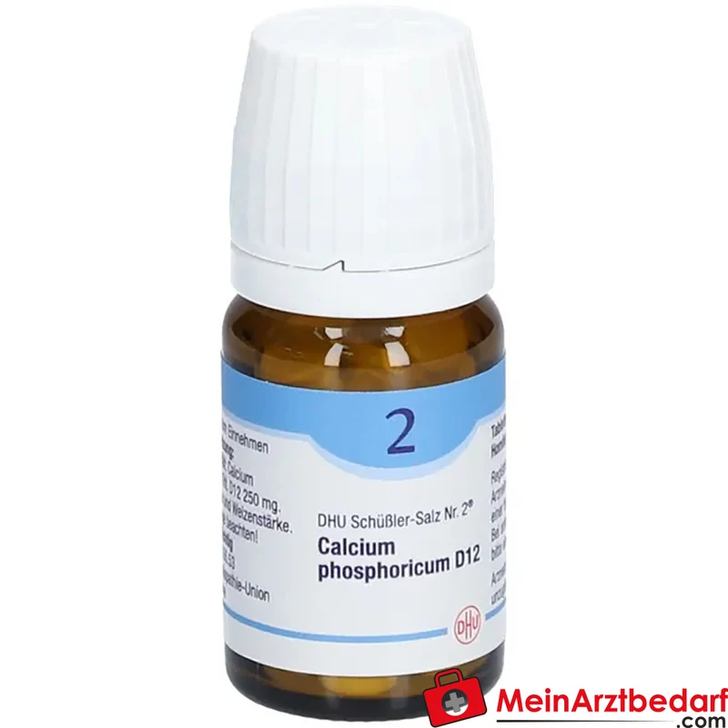 DHU Schüßler-Salz Nr. 2 Calcium phosphoricum D12 Tabletten 250 mg