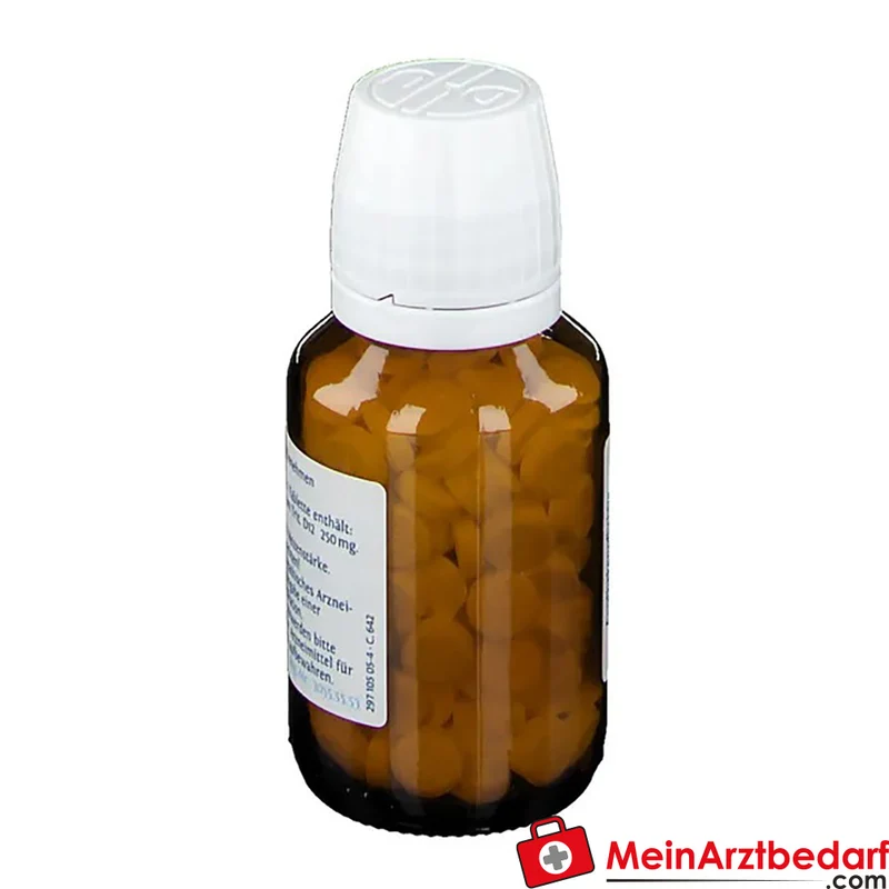 DHU Schüßler-Salz Nr. 2 Calcium phosphoricum D12 Tabletten 250 mg