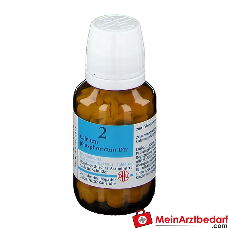 DHU Schüßler-Salz Nr. 2 Calcium phosphoricum D12 Tabletten 250 mg