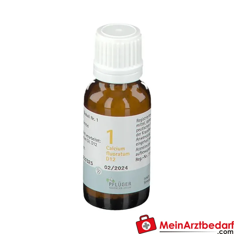 BIOCHEMIE PFLÜGER Nr. 1 Calcium fluoratum D12 homöopathisches Arzneimittel