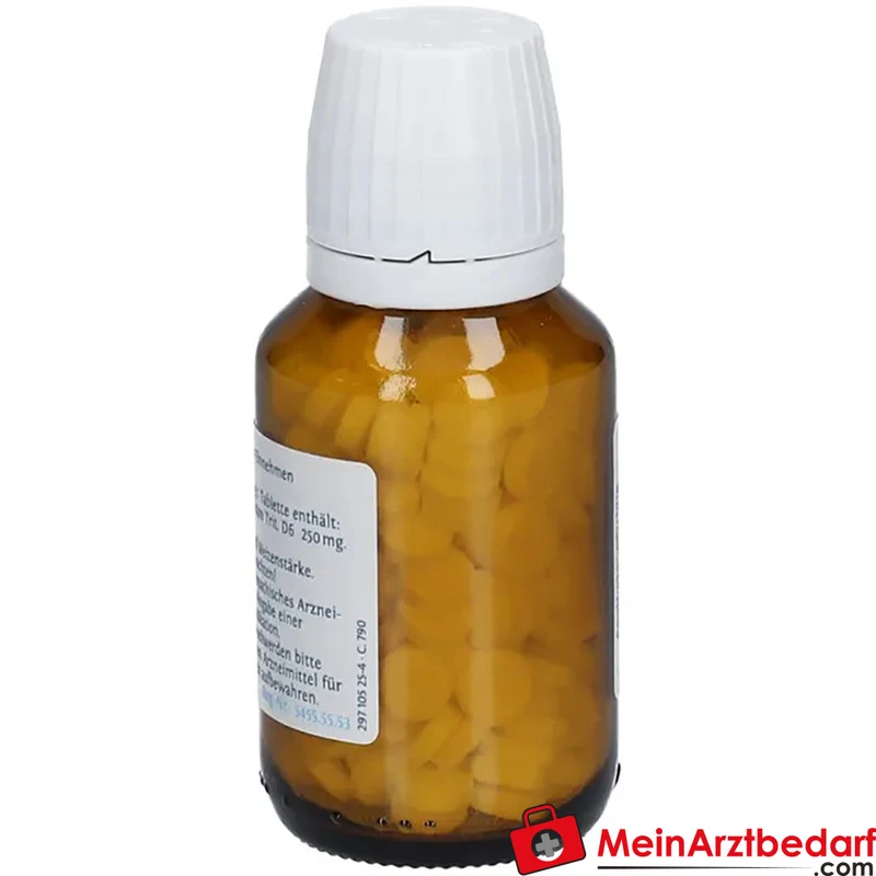 DHU Biochemie Natrium phosphoricum D6 Tabletten 250 mg