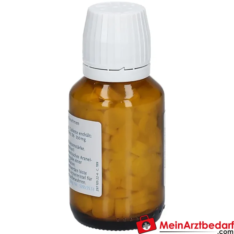 DHU Schüßler-Salz Nr. 8 Natrium chloratum D6 250 mg Tabletten 80 Stück
