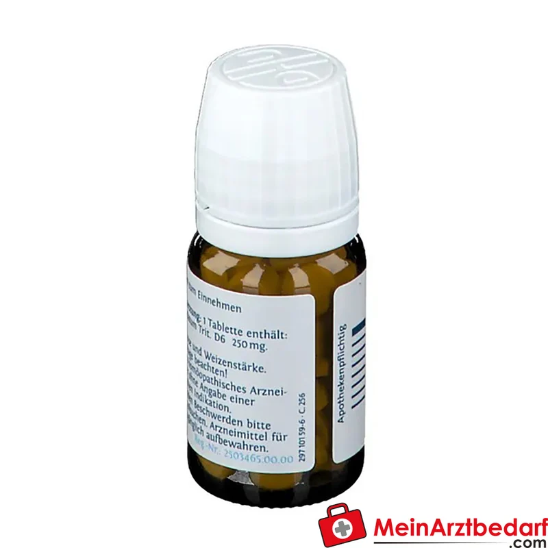 DHU Biochemie 24 Arsenum jodatum D6 250 mg Tabletten