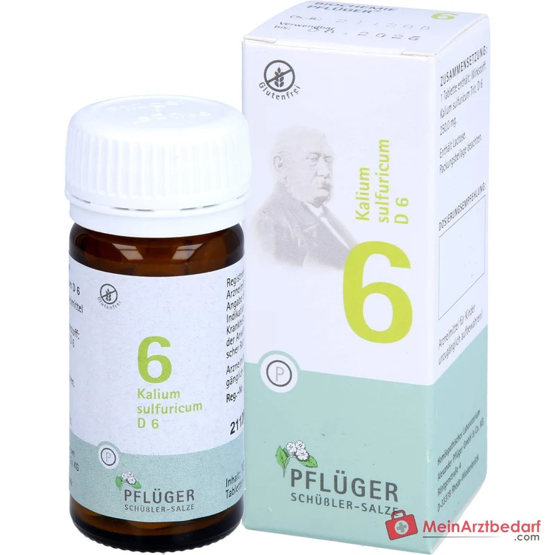 Biochemie Pflüger Nr. 6 Kalium sulfuricum D6 250 mg Tabletten