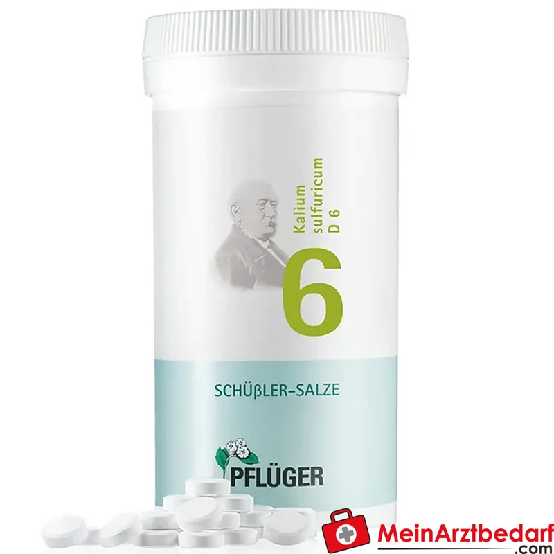 Biochemie Pflüger Nr. 6 Kalium sulfuricum D6 250 mg Tabletten