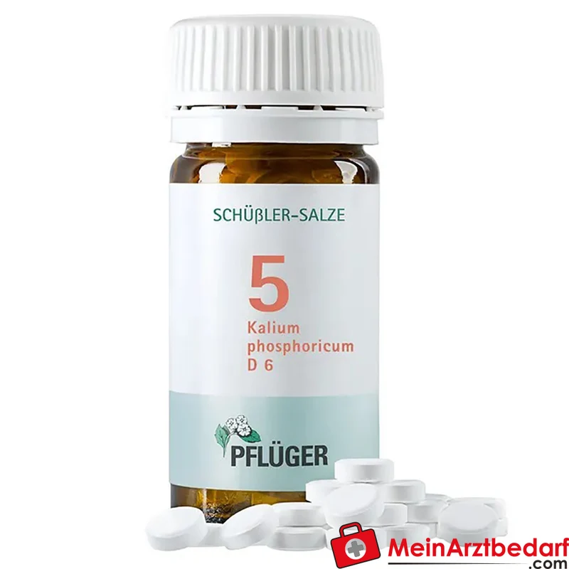 Biochemie Pflüger Nr. 5 Kalium phosphoricum D6 Tabletten, 100 St.