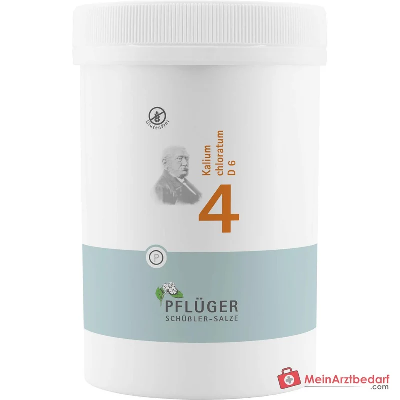 Biochemie Pflüger Nr. 4 Kalium chloratum D6 Tabletten 100 Stück