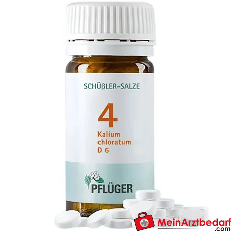 Biochemie Pflüger Nr. 4 Kalium chloratum D6 Tabletten 100 Stück