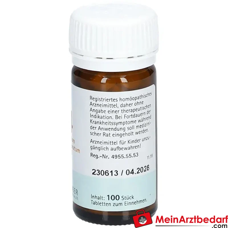 Biochemie Pflüger Nr. 4 Kalium chloratum D6 Tabletten 100 Stück