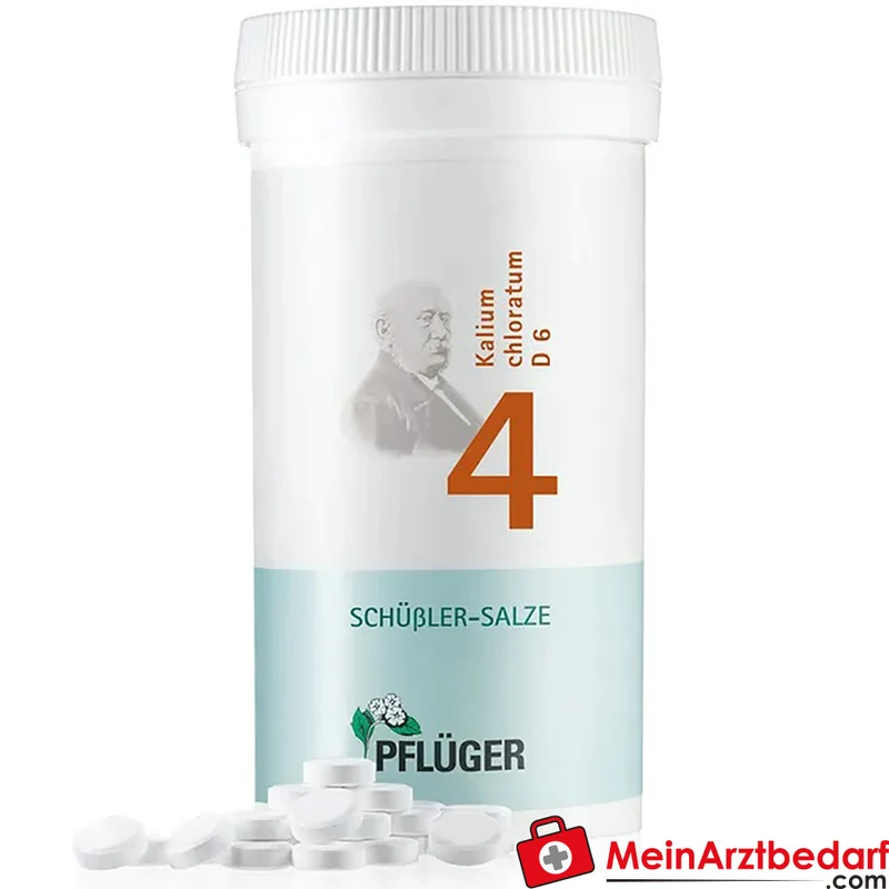Biochemie Pflüger Nr. 4 Kalium chloratum D6 Tabletten 100 Stück