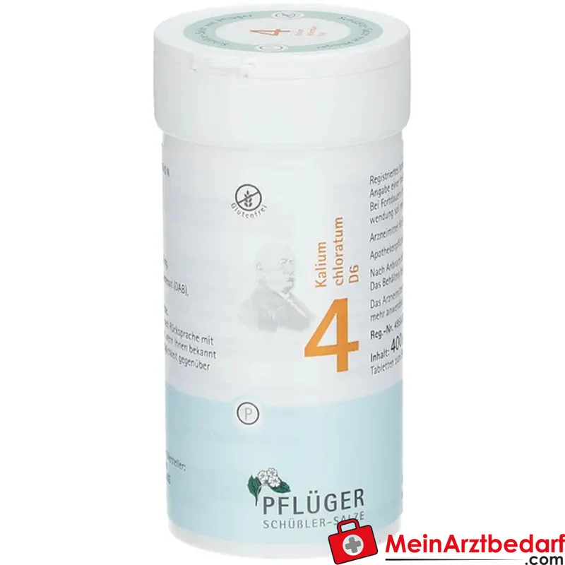 Biochemie Pflüger Nr. 4 Kalium chloratum D6 Tabletten 100 Stück