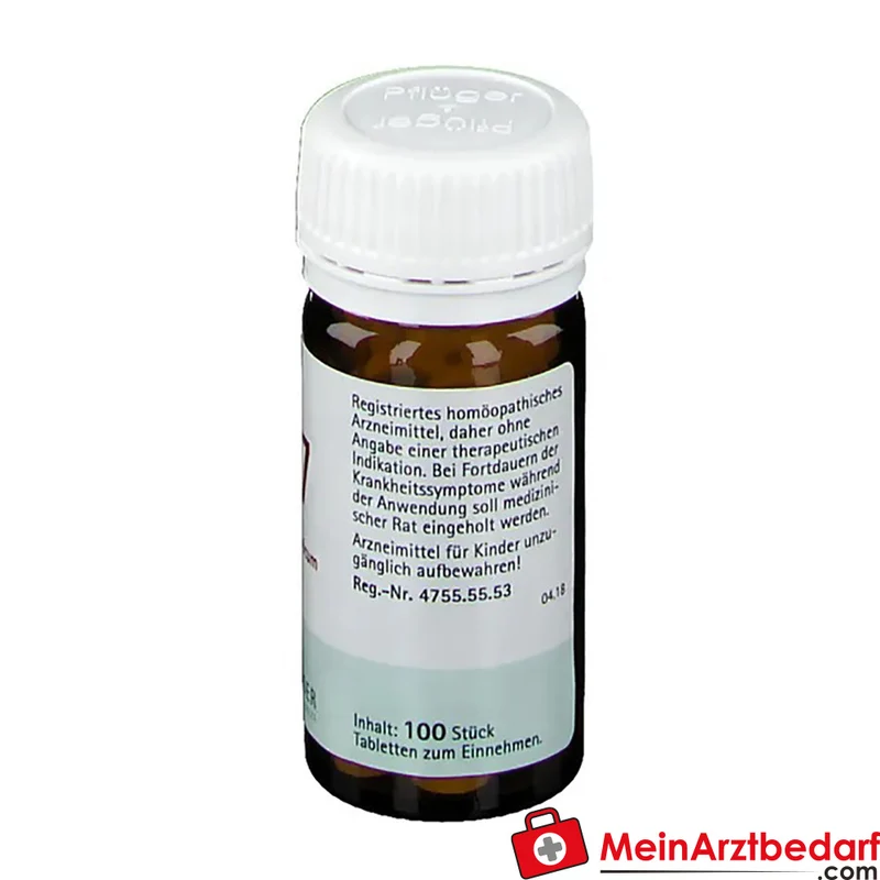 Biochemie Pflüger Nr. 27 Kalium bichromicum D6 Tabletten 100 Stück