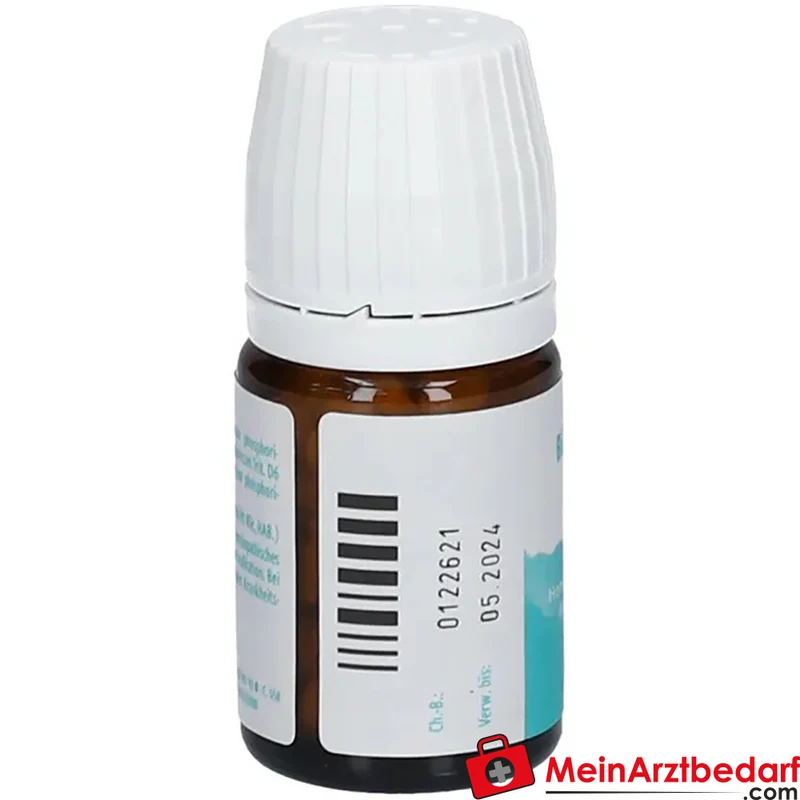 DHU Bicomplex 19 Ammonium phosphoricum D6, Calcium phosphoricum D6, Kalium phosphoricum, Magnesium phosphoricum D6 Tabletten 150 Stück
