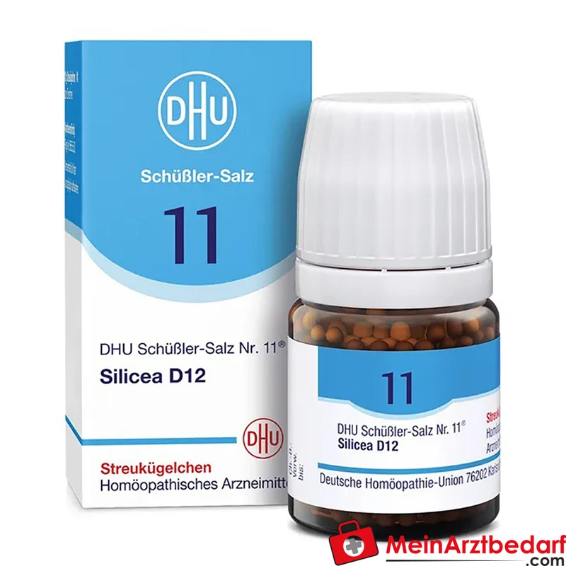 DHU Biochemie 11 Silicea D12 Acidum silicicum D12 Tabletten