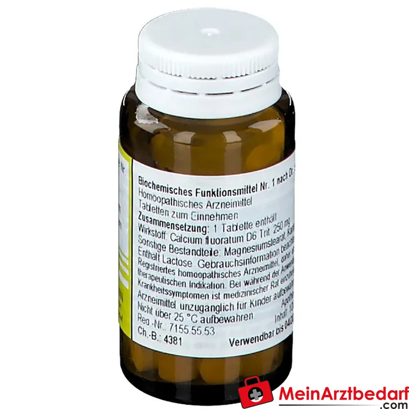 Nestmann Biochemisches Funktionsmittel Nr. 1 Calcium fluoratum D6 Tabletten, 100 St.