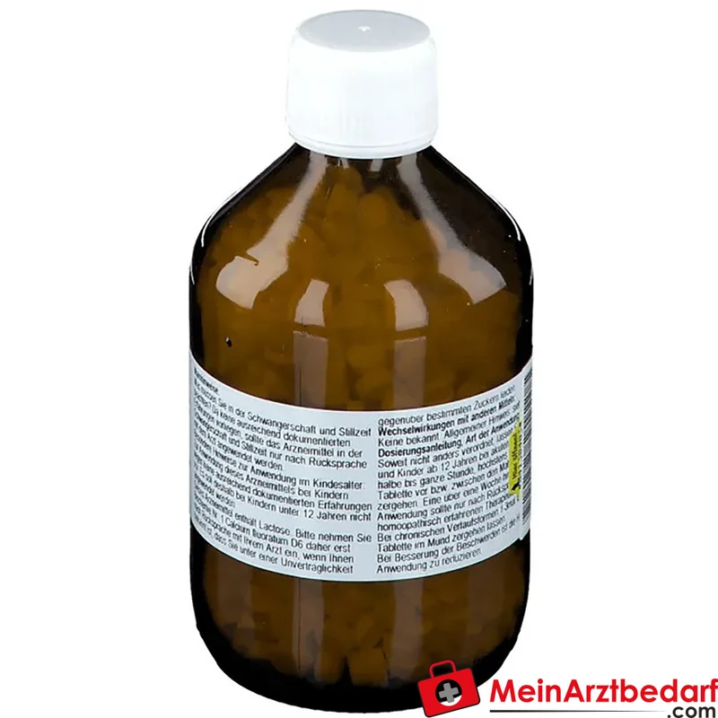 Nestmann Biochemisches Funktionsmittel Nr. 1 Calcium fluoratum D6 Tabletten, 100 St.